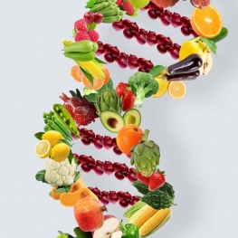 Health factor   