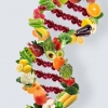 Health factor   