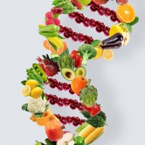 Health factor   